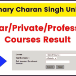 CCSU Result 2025 (Announced) at ccsuniversity.ac.in- Check UG/PG Odd/Even Semester Exam Results
