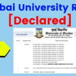 Mumbai University Result 2024 [Declared]: MU BA/B.Sc/B.Com Exams Results
