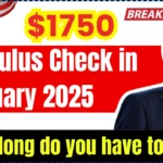 $1750 Stimulus Check in January 2025: How long do you have to wait?