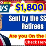 $1,800 is Sent by the SSA to Retirees in This Group to Support Them in Replacing Their Fridge, if Needed: Are you On the List?
