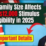How Family Size Affects Your $12,000 Stimulus Eligibility in 2025: Check Important Details