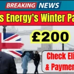 Octopus Energy £200 Winter Payment Announced - Check Eligibility and Payment Schedule!