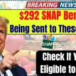 $292 SNAP Benefits Being Sent to These States – Check If You Are Eligible to Get it!