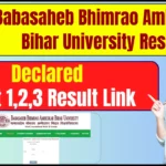 Babasaheb Bhimrao Ambedkar Bihar University Result 2025 (Declared) – Check Part 1,2,3 Result