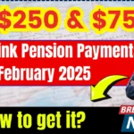 250 and 750 Centrelink Pension Payments in February 2025 How to get