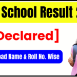 High School Result 2025 - Download Name & Roll No. Wise 10th Result